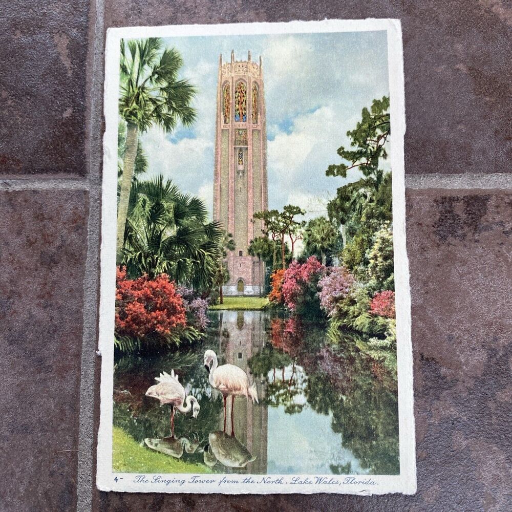 Lake Wales Florida Flamingos at the Singing Tower Vintage Postcard 1937